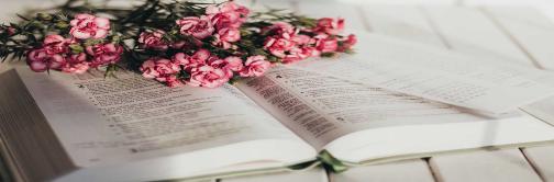 Bible and Pink Flowers